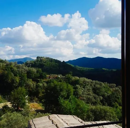 호텔 Restaurant Emblema 3*