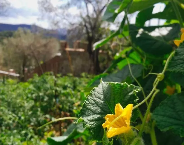 Restaurant Emblema 3*